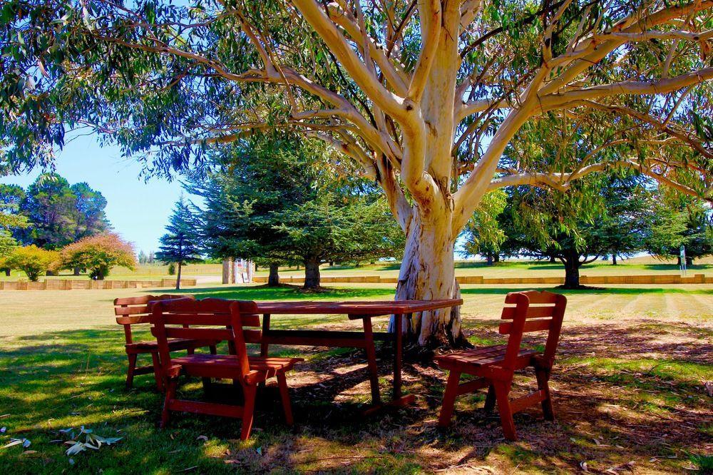 Snowy Mountains Resort And Function Centre Adaminaby Eksteriør bilde